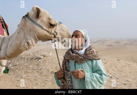 Karawanenführer küssen sein Kamel, Kamel liegend im Sand, Wüste in der Nähe von Kairo, Ägypten, Afrika Stockfoto