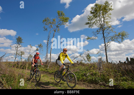 Mountainbike-Fahrer, die auf dem vom Zyklon Kyrill bewaldeten Grenzweg zwischen Nordrhein-Westfalen und Hessen fahren, Stockfoto