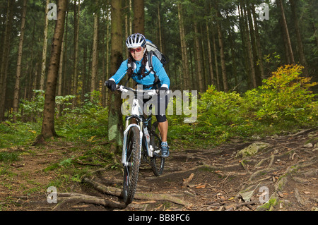 Mountain-Bike-Fahrer, Weiblich, am Reiten auf einem Root-Pfad Heuberg Berg in der Nähe von Nußdorf Inn, Bayern, Deutschland Stockfoto