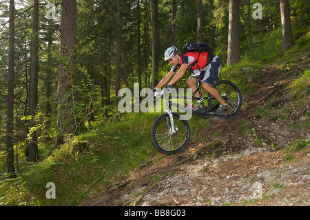 Mountainbike-Fahrer auf einem Wurzelpfad in einem Wald in der Nähe von Garmisch, Oberbayern, Bayern, Deutschland, Europa Stockfoto