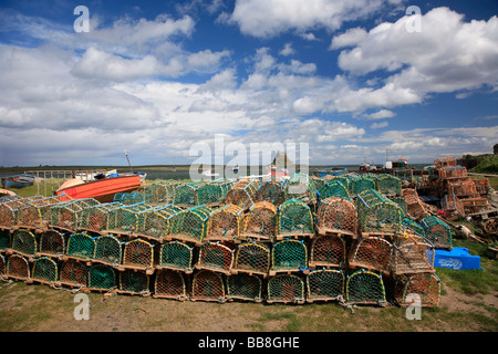 Hummer und Krabben fischen Töpfe im Hafen Lindisfarne Castle heilige Insel Lindisfarne Northumberland Nordküste England UK Stockfoto