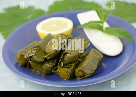 Dolmades. Typische Speisen aus Griechenland, mit Weinblättern gemacht. Rezept erhältlich Stockfoto