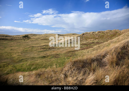 Snook-Naturschutzgebiet auf der Heiligen Insel Sand Lindisfarne North Northumberland Küste England UK Stockfoto