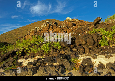 Eine vulkanische Felsvorsprung oberhalb des Strandes auf Floreana Insel im südlichen Galapagos, Pazifik Stockfoto