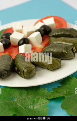 Dolmades. Typische Speisen aus Griechenland, mit Weinblättern gemacht. Rezept erhältlich Stockfoto