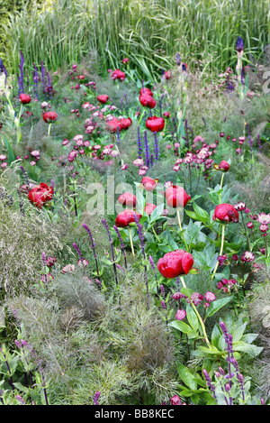 Laurent Perrier Garten Chelsea 2009 Designer Luciano Giubbilei Stockfoto