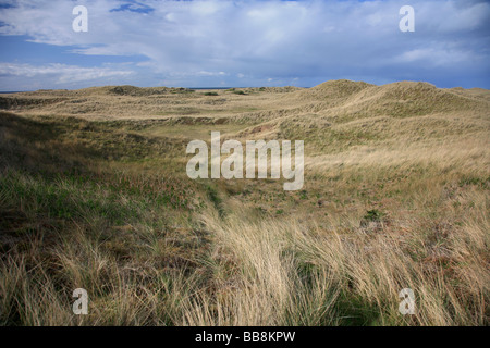 Snook-Naturschutzgebiet auf der Heiligen Insel Sand Lindisfarne North Northumberland Küste England UK Stockfoto