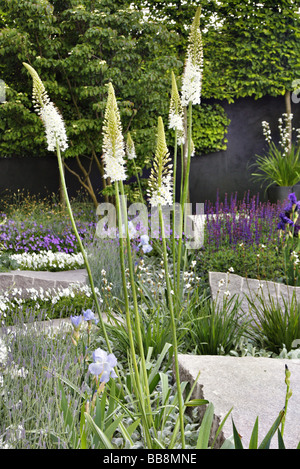 Daily Telegraph Garten Chelsea 2009 Designer Ulf Nordfjell Stockfoto