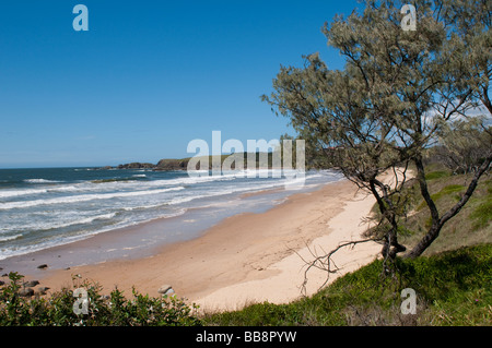 Emerald Beach Coffs Harbour Region New South Wales Australien Stockfoto