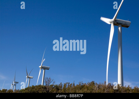 Windkraftanlagen auf Tecate Kluft zwischen El Centro und südlichen Kalifornien in San Diego Stockfoto