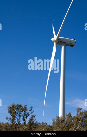 Windkraftanlagen auf Tecate Kluft zwischen El Centro und südlichen Kalifornien in San Diego Stockfoto