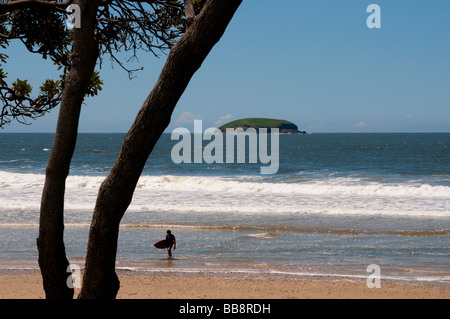 Emerald Beach Surfer Coffs Harbour Region New South Wales Australien Stockfoto