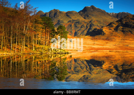 Blea Tarn am Fuße des The Langdale Pikes mit einer Bedeckung von Eis im Winter The Lake District National Park Cumbria UK Stockfoto