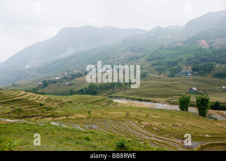 Reisterrassen, Lao Chai Dorf, Sapa, Vietnam Stockfoto