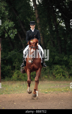 Pferd und Reiter im Wettbewerb im Bereich Dressur Stockfoto