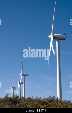 Windkraftanlagen auf Tecate Kluft zwischen El Centro und südlichen Kalifornien in San Diego Stockfoto