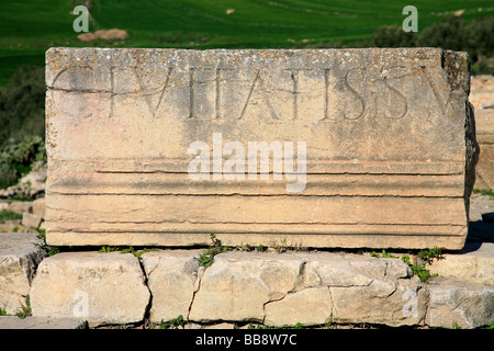 Lateinische Inschrift (Civitatissu) auf einem Stein am römischen Ruinen in Dougga, Tunesien Stockfoto