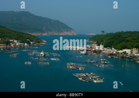 Asien-China-Hongkong-Clearwater bay neue Territorien po Toi 2008 Stockfoto