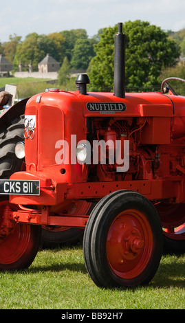 Grenzen Vintage Tractor Show 2009 Union Showground Kelso Schottland Nuffield Traktor Stockfoto