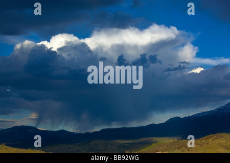 Siskiyou County, CA: Ansicht des Mount Shasta mit Sturm und regen Wolken von Shasta Valley Stockfoto