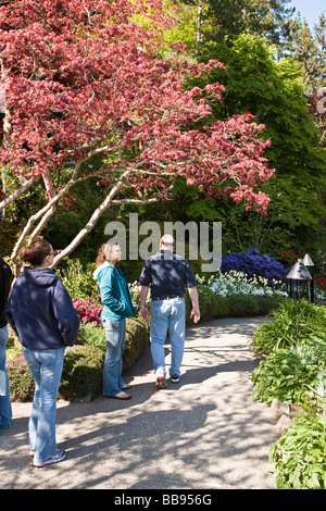 Touristen in Butchart Gardens Victoria BC Kanada Stockfoto