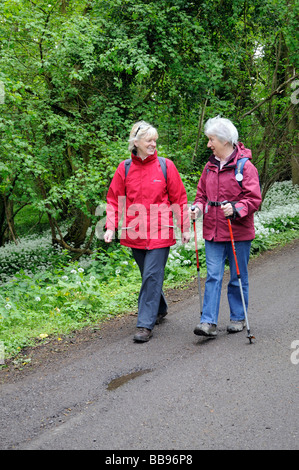 Wanderer, Wandern entlang einer Straße in Hampshire Stockfoto