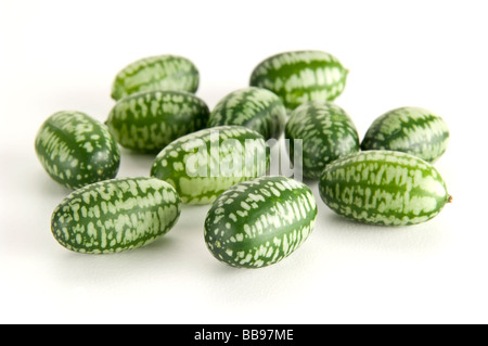 Pepquiños - kleine mundgerechte Wassermelonen, die einen ähnlich wie Gurke Geschmack Stockfoto