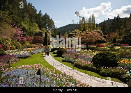 Panoramablick über die versunkene Garten Sunny Frühlingstag in Butchart Gardens Victoria BC Kanada Stockfoto