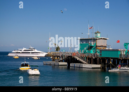 Die grünen Pier im Hafen von Avalon auf Catalina Island, Kalifornien USA Stockfoto