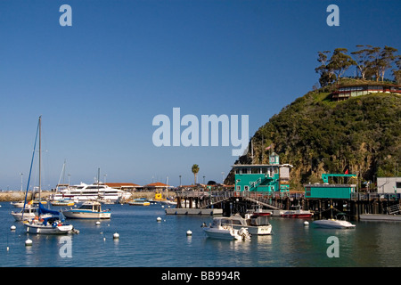 Die grünen Pier im Hafen von Avalon auf Catalina Island, Kalifornien USA Stockfoto