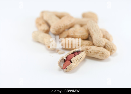 selektiven Fokus mit geringen Schärfentiefe von Erdnüssen mit der offenen Erdnuss scharf Stockfoto