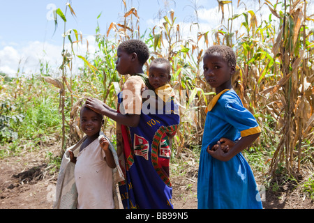 Eine Gruppe von Mädchen im Dorf Nyombe, Malawi, Afrika Stockfoto