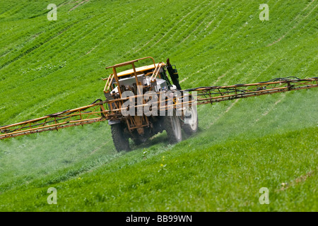 Ein JCB Fastrac Traktor und Ritter Spritze Spritzen Weedkller auf Sommergerste Stockfoto