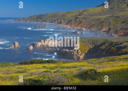 Aussicht auf felsigen Küstenlinie und Surfen im Garrapata State Park in Big Sur, Kalifornien Stockfoto