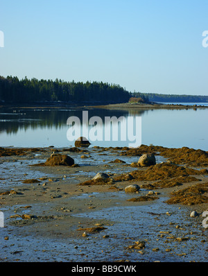 Carney Insel Little Deer Isle Maine Stockfoto