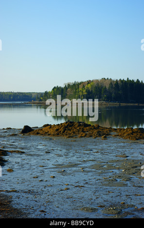 Carney Insel Little Deer Isle Maine Stockfoto