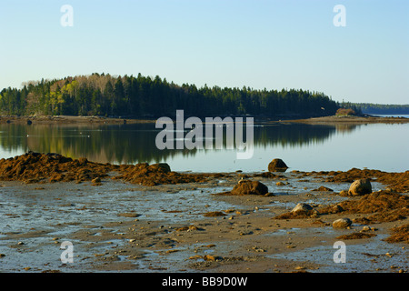 Carney Insel Little Deer Isle Maine Stockfoto