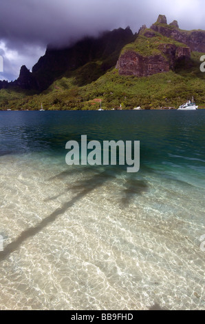 Schatten der Palme in Cooks Bay, Moorea, Tahiti, Französisch-Polynesien Stockfoto