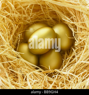 Fünf goldenen Eiern sicher geschützt in einem Nest, sichere Einsparungen für eine zukünftige Familienvermögen darstellt. Stockfoto