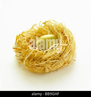 Einen Notgroschen, ein gold-Ei sicher geschützt in einem Stroh Nest, sichere finanzielle Einsparungen für die Zukunft darstellt. Stockfoto