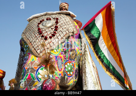 Elefanten mit Fahrern im Elephant Festival Jaipur Rajasthan Indien Stockfoto