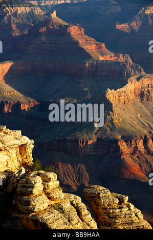 Grand Canyon Mather Point Isis-Tempel bei Sonnenaufgang Grand-Canyon-Nationalpark Arizona USA Stockfoto