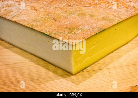 Käse Fontina Valpelline Italien Stockfoto