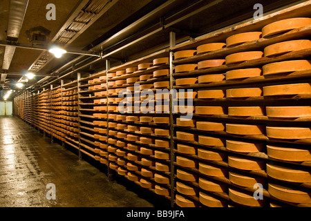 Gewürz-Lager von Käse Fontina Valpelline Italien Stockfoto