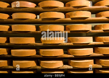 Gewürz-Lager von Käse Fontina Valpelline Italien Stockfoto