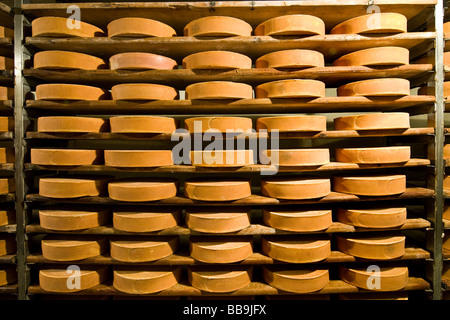 Gewürz-Lager von Käse Fontina Valpelline Italien Stockfoto