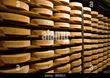 Gewürz-Lager von Käse Fontina Valpelline Italien Stockfoto