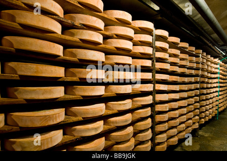 Gewürz-Lager von Käse Fontina Valpelline Italien Stockfoto