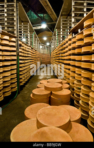 Gewürz-Lager von Käse Fontina Valpelline Italien Stockfoto