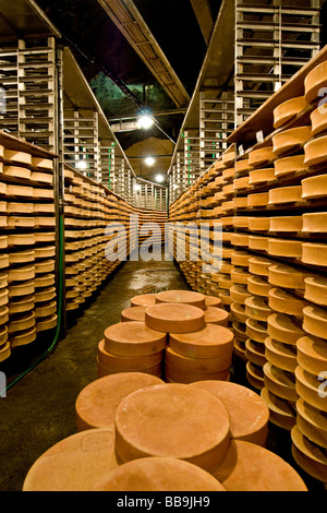 Gewürz-Lager von Käse Fontina Valpelline Italien Stockfoto